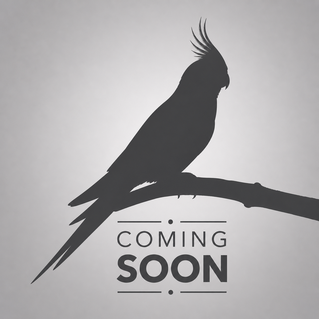 Coming Soon (B22)