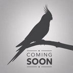 Coming Soon (B22)
