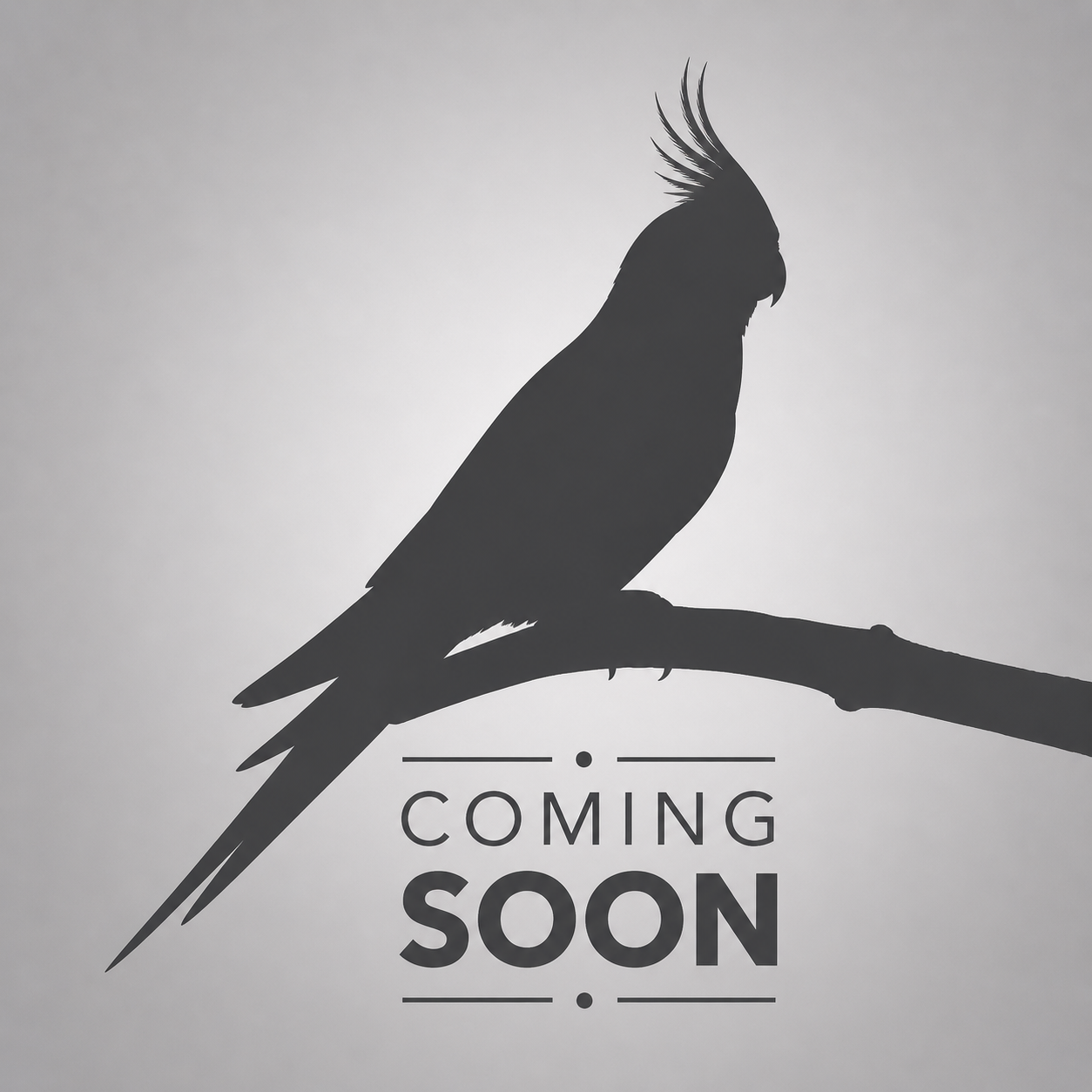 Coming Soon (B23)