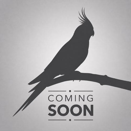 Coming Soon (B23)